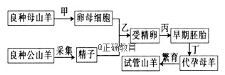 www.xiangpi.com