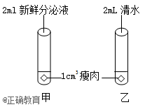 www.xiangpi.com