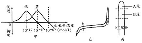 www.xiangpi.com