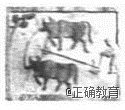 www.xiangpi.com
