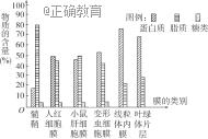 www.xiangpi.com