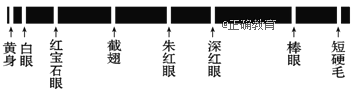 www.xiangpi.com