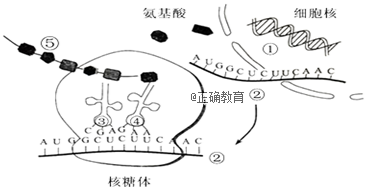 www.xiangpi.com