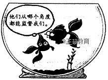 www.xiangpi.com