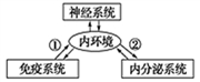 www.xiangpi.com