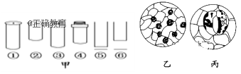 www.xiangpi.com