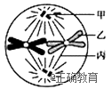 www.xiangpi.com