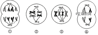 www.xiangpi.com