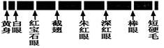 www.xiangpi.com