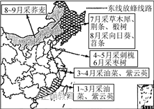 www.xiangpi.com
