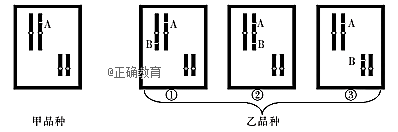 www.xiangpi.com