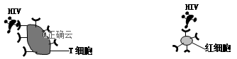 www.xiangpi.com