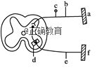 www.xiangpi.com