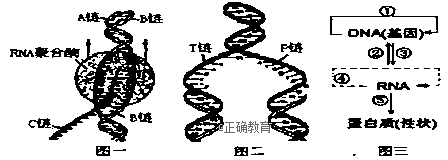 www.xiangpi.com
