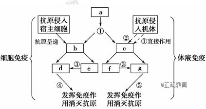 www.xiangpi.com