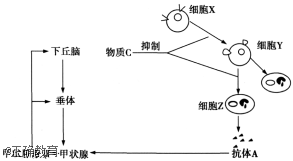 www.xiangpi.com