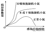 www.xiangpi.com