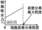 www.xiangpi.com
