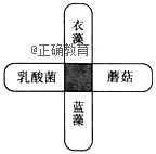www.xiangpi.com