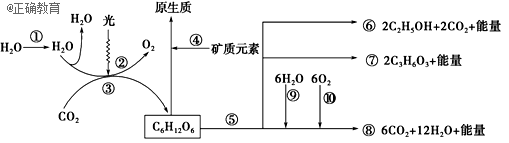 www.xiangpi.com