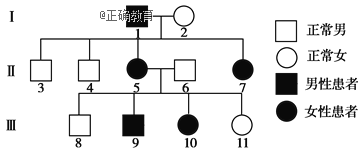 www.xiangpi.com