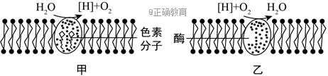 www.xiangpi.com