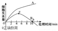 www.xiangpi.com