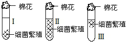 www.xiangpi.com