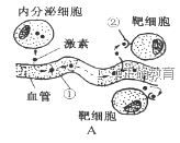 www.xiangpi.com
