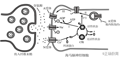 www.xiangpi.com