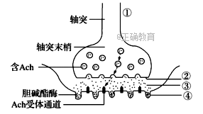 www.xiangpi.com