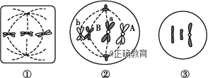 www.xiangpi.com