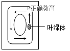www.xiangpi.com