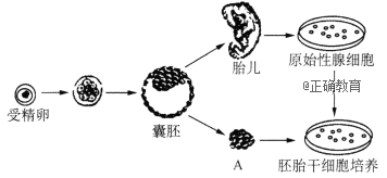 www.xiangpi.com