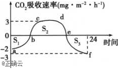 www.xiangpi.com