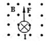 www.xiangpi.com