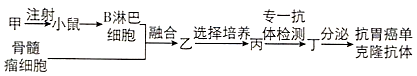 www.xiangpi.com