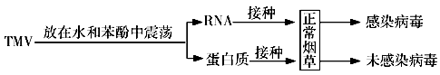 www.xiangpi.com