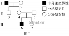 www.xiangpi.com