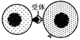 www.xiangpi.com