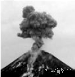 www.xiangpi.com