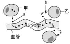 www.xiangpi.com