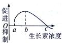 www.xiangpi.com