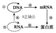 www.xiangpi.com
