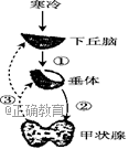 www.xiangpi.com