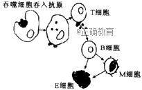 www.xiangpi.com