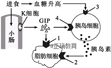 www.xiangpi.com