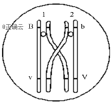 www.xiangpi.com