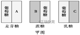 www.xiangpi.com