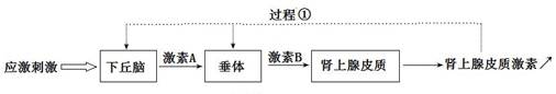 www.xiangpi.com